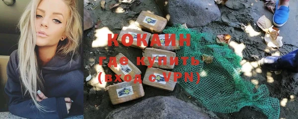 бошки Алзамай