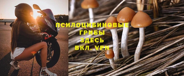 СК Алексеевка