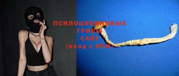 бошки Алзамай