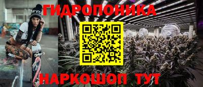 крисы Пугачёв