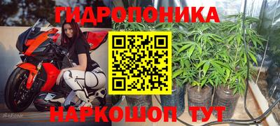 крисы Пугачёв