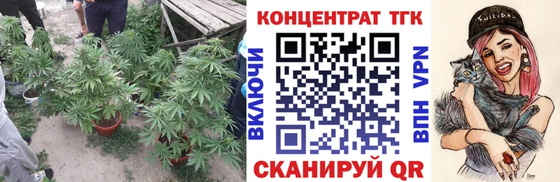 ТГК концентрат  Черкесск 