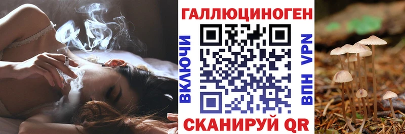 Галлюциногенные грибы Cubensis  kraken tor  Черкесск  где купить наркотик 