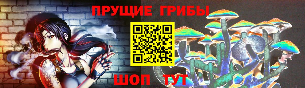Псилоцибиновые грибы GOLDEN TEACHER Черкесск